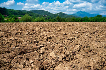 Plough agriculture field before sowing