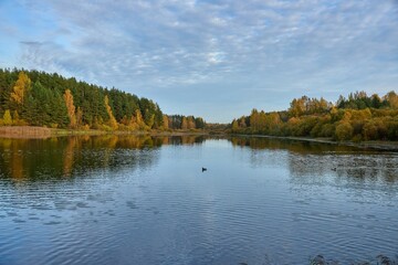Beautiful reflection in lake in autumn
