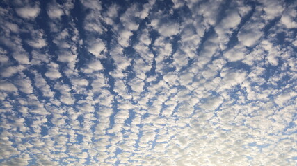 White clouds in the blue sky. Cerrocumulus is a small white cloud gathered in ripple-like clusters in the sunlit afternoon sky. Selective focus