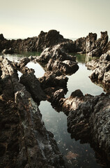 Fototapeta premium 제주도 풍경