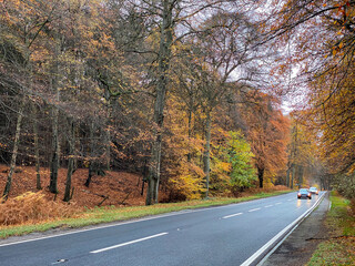 Busy road through a woodland scene in Autumn - near Elgin in Moray, Scotland