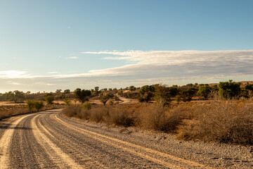 Fototapeta na wymiar Dirt road in the Kgalagadi