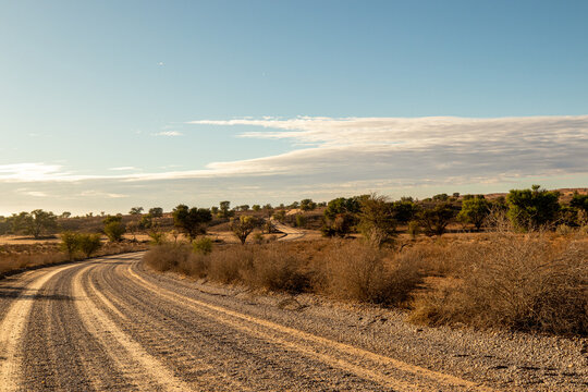Dirt road in the Kgalagadi