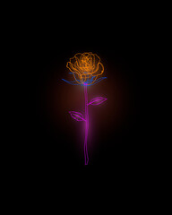 Orange rose illustration that expresses romance, energy, joy and liveliness.