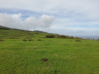 Green carpet - View from the Ponta da Ribeirinha Lighthouse, Faial, Azores