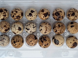 Quail eggs isolated. Quail eggs isolated on white background.