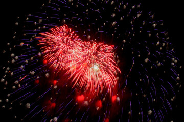 Concept of holiday. Flash of red and white fireworks on background black sky. Close-up