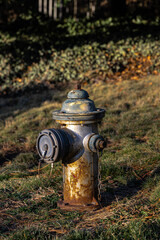 Old Street Hydrant with Some Rust