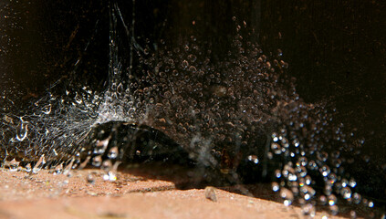 Thousands of waterdrops drops caught in spider web forming fantastic structure and forms like a...