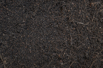 soil texture background. top view