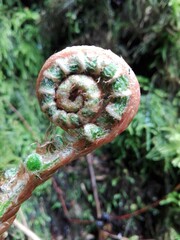 Erwachen