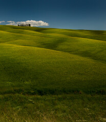 Italian tuscan hills