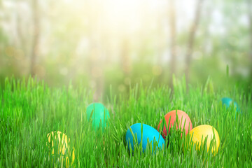Colorful Easter eggs on green grass and defocused garden background. Copy space
