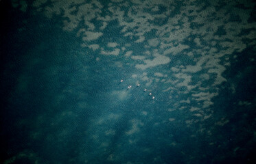 Arguin Bank Sahara Mauritania Africa