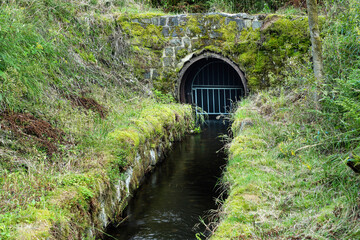 Alter Dammgraben bei Clausthal-Zellerfeld im Harz