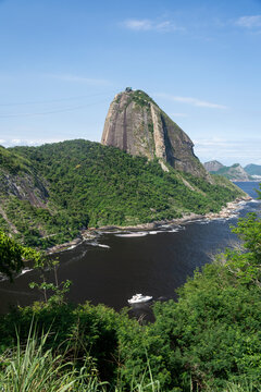 Beautiful view to Sugar Loaf green rainforest mountain