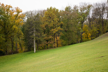 Fototapeta premium View of landscape with autumn trees at park
