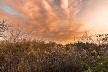 Sunset sky and desert nature