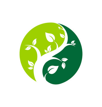 yin yang style green tree logo symbol