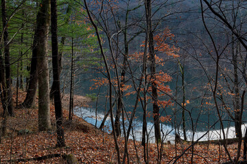 Shoreline of the  Sugar Hollow Reservoir in winter. Reservoir is source of water for Charlottesville, Virginia.
