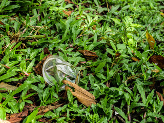 plastic cups are thrown carelessly in the green field
