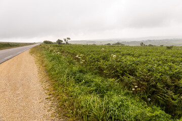 Route vers les monts d'arrée en Bretagne, Finistère