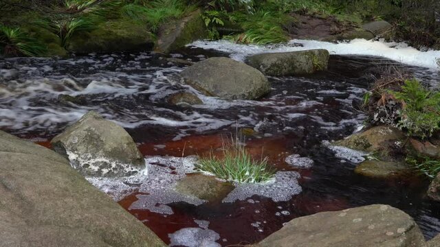Abbegraben im Torfhausmoor im Harz
