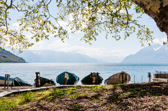 Cully, Seeufer, Boote, Hafen, Lavaux, Genfersee, Weinberge, Dorf, See, Wanderweg, Weinberg-Terrassen, Weinbauer, Fr&uuml;hling, Waadt, Alpen, Schweiz