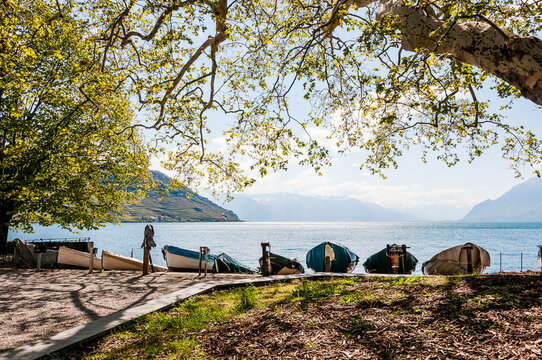 Cully, Seeufer, Boote, Hafen, Lavaux, Genfersee, Weinberge, Dorf, See, Wanderweg, Weinberg-Terrassen, Weinbauer, Fr&uuml;hling, Waadt, Alpen, Schweiz
