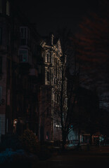 night city street, zaporozhye by night, Christmas atmosphere