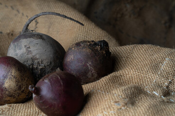 A bouquet of three beets lies on a burlap on a wooden kitchen table. Beetroot is an ideal ingredient for vegan diet, keto diet.