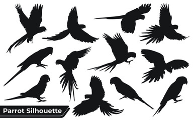Collection of Animal Parrot Silhouettes vector