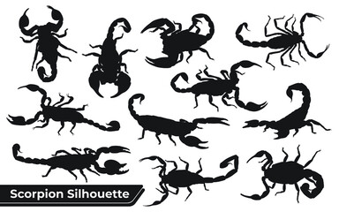 Naklejka premium Collection of Animal Scorpion Silhouette vector