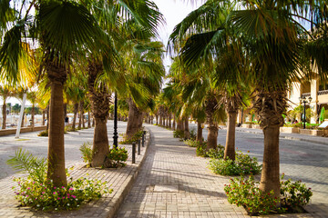 Sahl Hasheesh. Hurhgada.