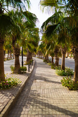 Fototapeta premium Sahl Hasheesh. Hurhgada.
