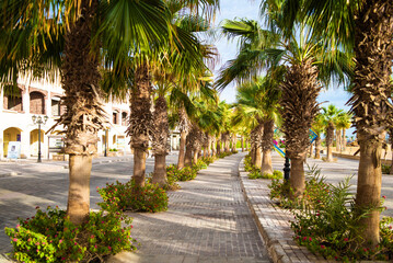Fototapeta premium Sahl Hasheesh. Hurhgada.