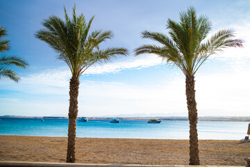 Sahl Hasheesh. Hurhgada.