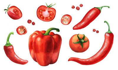 Red healthy vegetables and spices. Bell pepper, tomato, chili. Hand-drawn watercolor illustration on a white background. Picture for food design, menu, restaurant . 