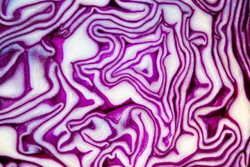 Background of the blue cabbage in the cut, macro photography. Close up, top view. Texture raw purple cabbage 