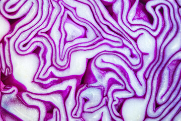 Fototapeta na wymiar Background of the blue cabbage in the cut, macro photography. Close up, top view. Texture raw purple cabbage 