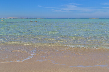 Fototapeta na wymiar Sandy wild beach of the Red Sea.