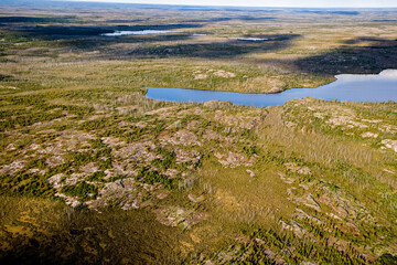 Near La Grande James Bay Boreal Forest and Tundra  Quebec Canada