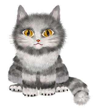 Drawing with the image of a gray fluffy tabby kitten, isolated on a white background, made in a graphic editor