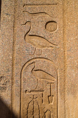  EGYPT - KARNAK TEMPLE - Large sculptures of pharaohs inside beautiful Egyptian landmark with hieroglyphics, and ancient symbols. Famous landmark in the world near Nile River and Luxor, Egypt