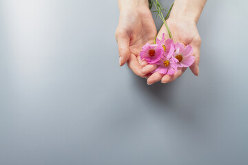 Pink flowers in women's hands as a symbol of hand care, manicure