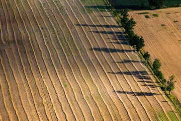 Farming in Valleyfield Quebec Canada