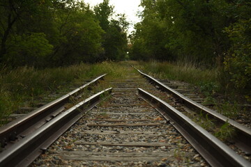 Fototapeta na wymiar Grassy Railway