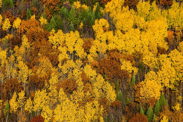 Fall Colours in Montérégie Quebec Canada