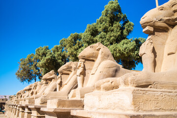Ancient Egyptian Temples And Statue