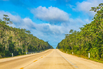 Driving on highway freeway motorway in jungle tropical nature Mexico.